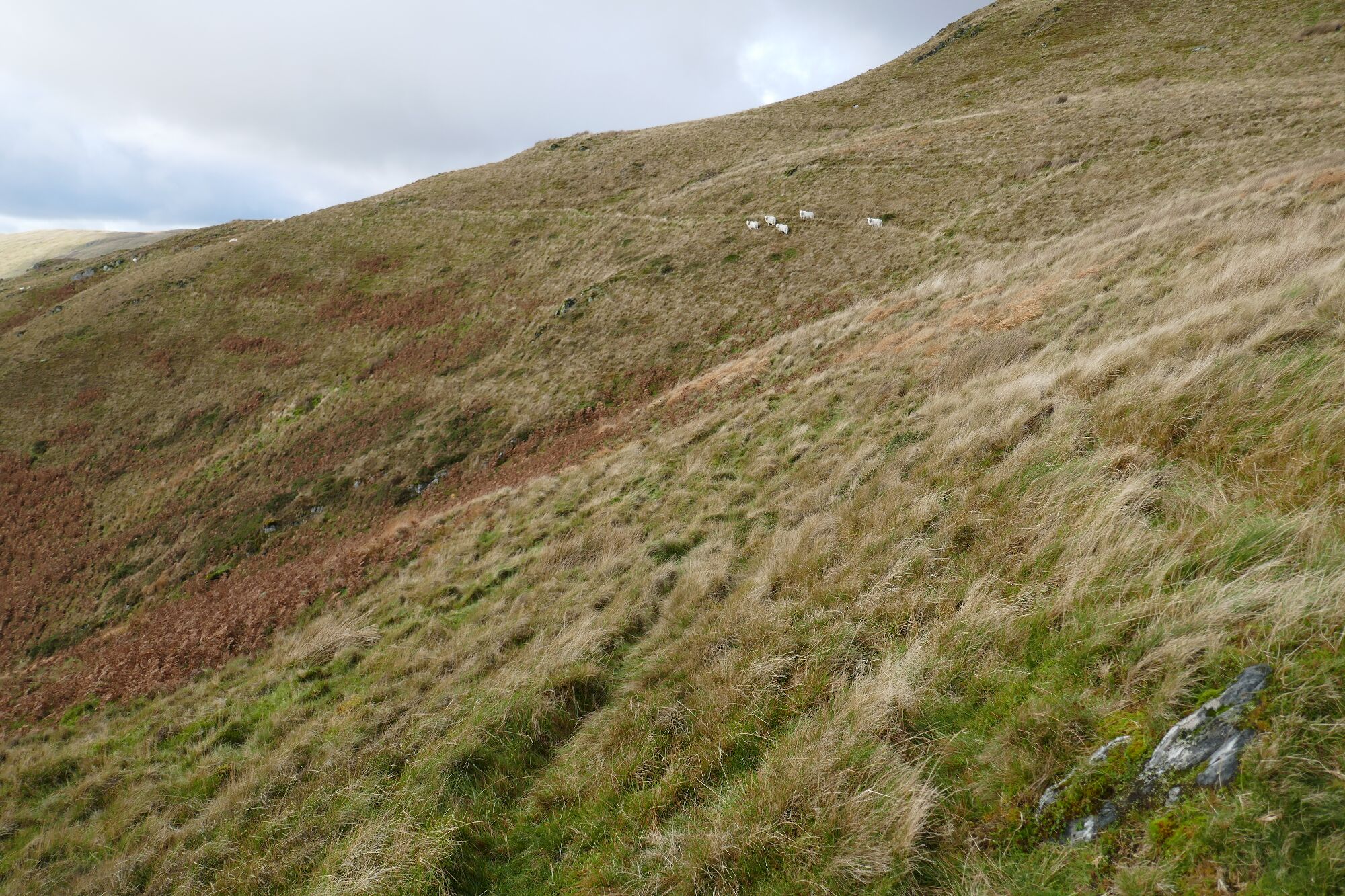 RachelSeabrook.net | Wild Walking | Cwm Hengwm | pic19